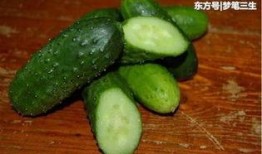 天津中医药大学网红吃瓜,揭秘天津中医药大学校园美食风云